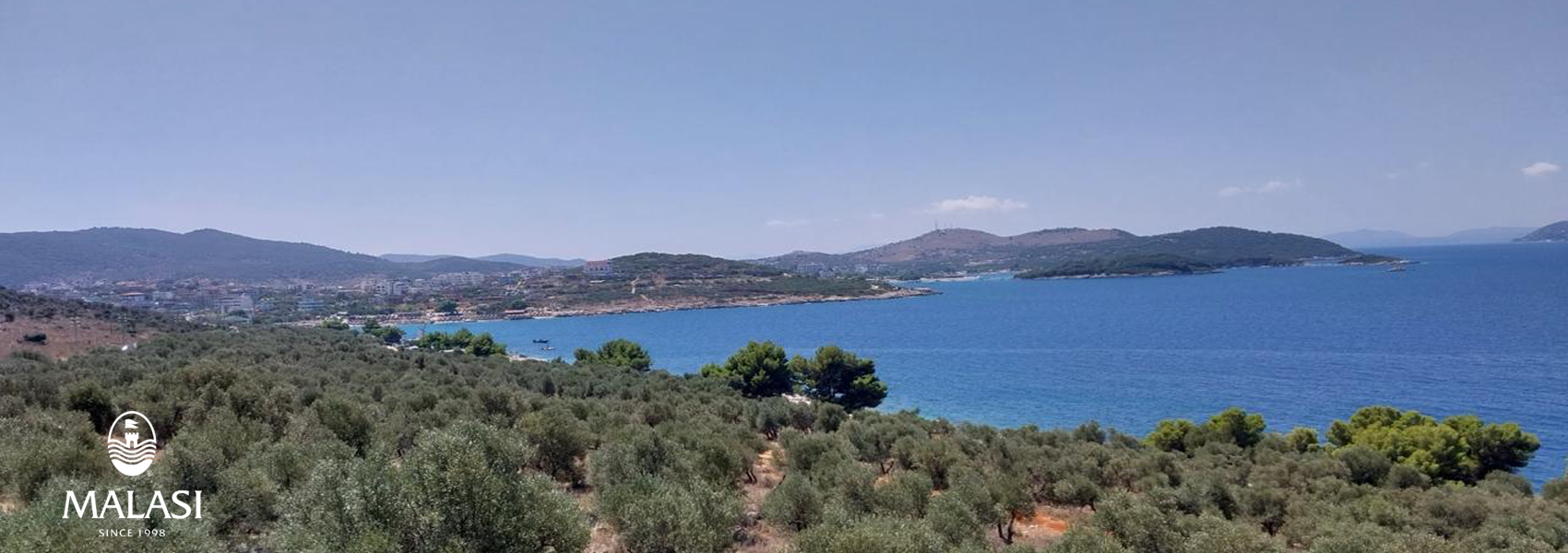 berat albania extra virgin olive oil